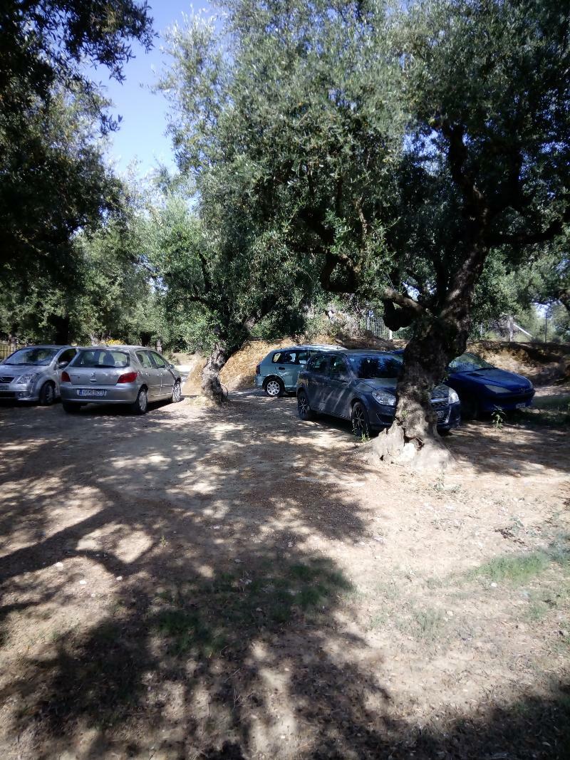 ζante Dolphin Hotel apartamentowy